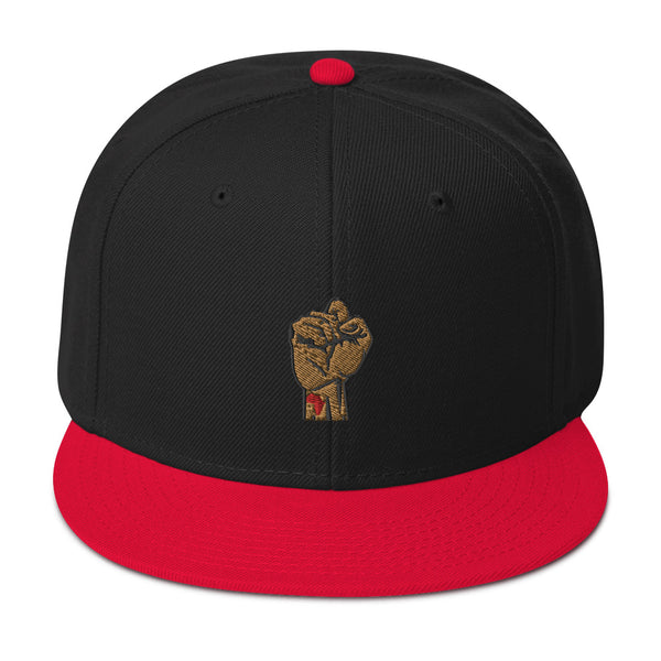 Fist Up Snapback Hat